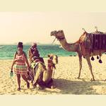 Ashley Handy - Dubai, United Arab Emirates